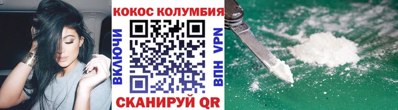 маркетплейс Telegram  купить закладку  mega маркетплейс  Новоржев  КОКАИН Fish Scale 