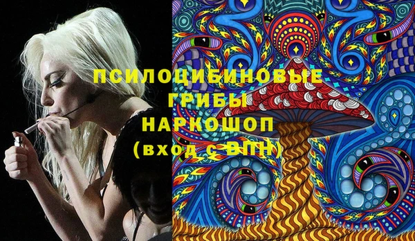 apvp Рославль