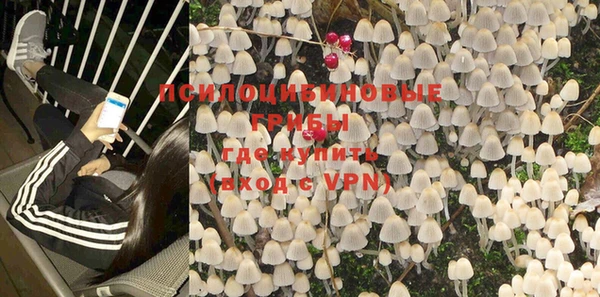 первитин Бородино